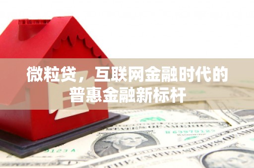 石碇微粒贷，互联网金融时代的普惠金融新标杆