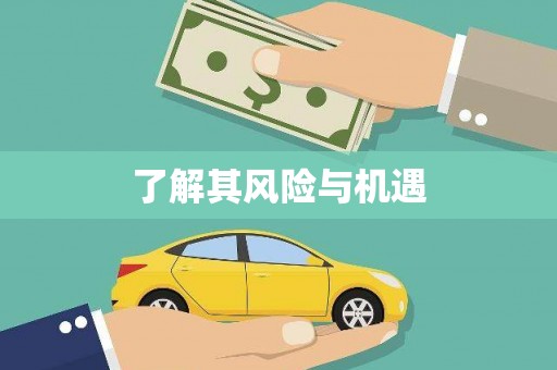 石碇了解其风险与机遇