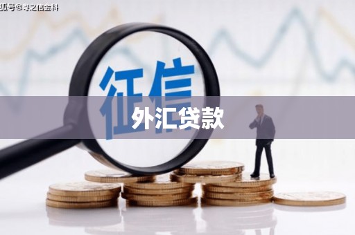 石碇外汇贷款