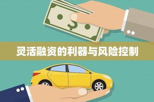 石碇灵活融资的利器与风险控制