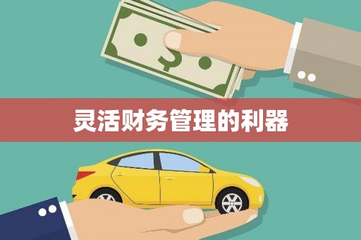 石碇灵活财务管理的利器