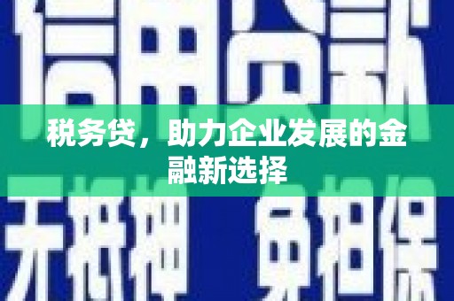 石碇税务贷，助力企业发展的金融新选择