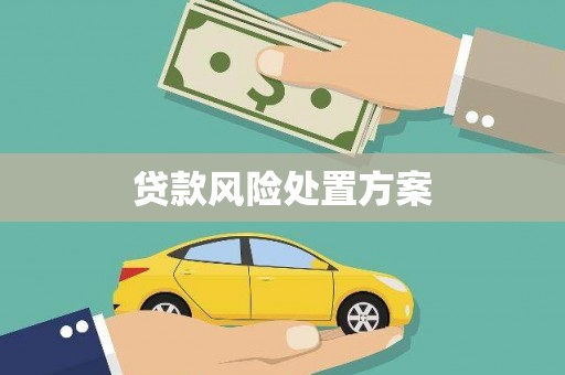 石碇贷款风险处置方案