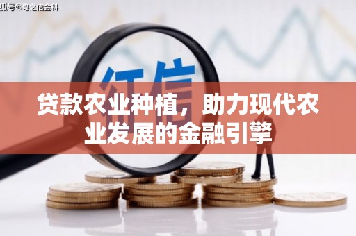 石碇贷款农业种植，助力现代农业发展的金融引擎