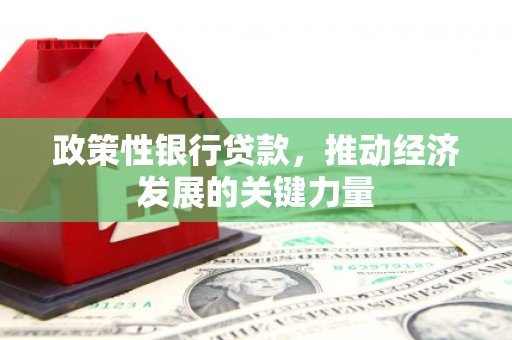 石碇政策性银行贷款，推动经济发展的关键力量