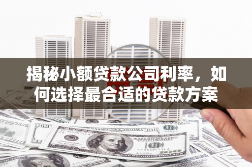 石碇揭秘小额贷款公司利率，如何选择最合适的贷款方案