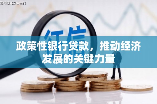 石碇政策性银行贷款，推动经济发展的关键力量