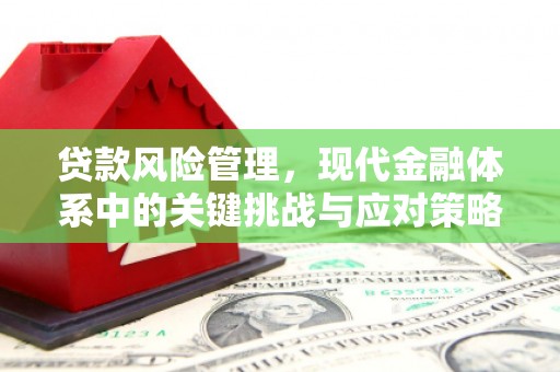 石碇贷款风险管理，现代金融体系中的关键挑战与应对策略