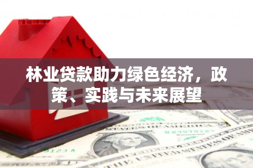 石碇林业贷款助力绿色经济，政策、实践与未来展望