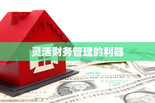 石碇灵活财务管理的利器
