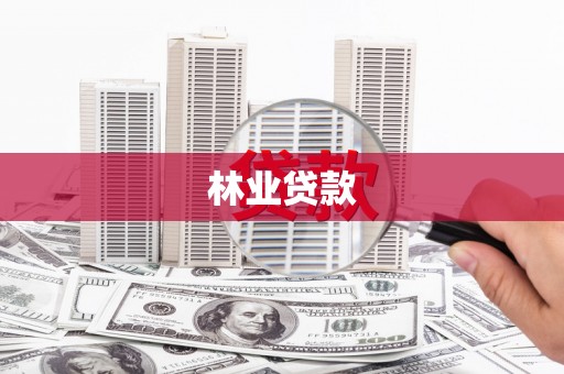 石碇林业贷款