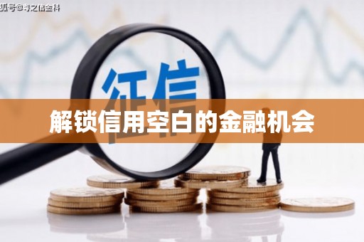 石碇解锁信用空白的金融机会