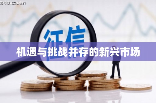石碇机遇与挑战并存的新兴市场