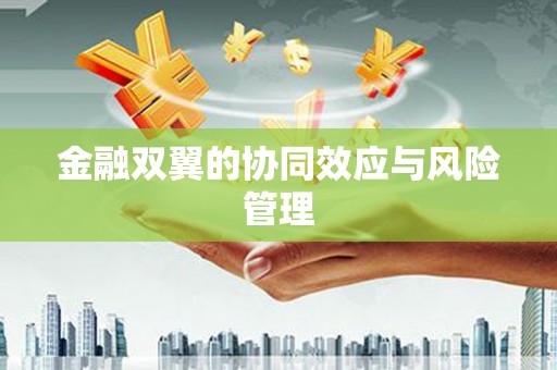 石碇金融双翼的协同效应与风险管理